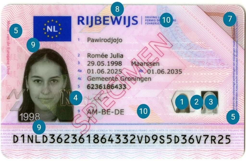 rijbewijs new